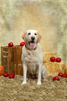 20131102-IMG_0244-Edit