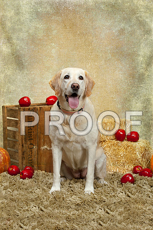 20131102-IMG_0244-Edit