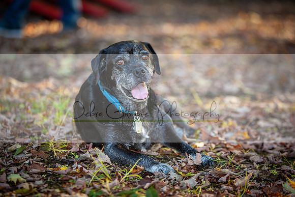 20191008-IMG_2652