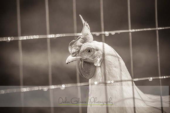 20151101-IMG_0153-2