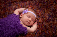 Addison & McKenzie Koop