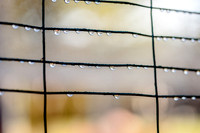 20151101-IMG_0106