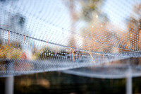 20151101-IMG_0103