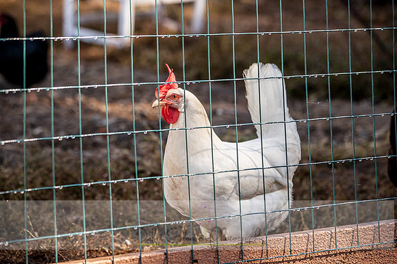20151101-IMG_0154