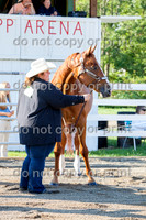 20150916-IMG_7158