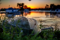 20220909-IMG_7778