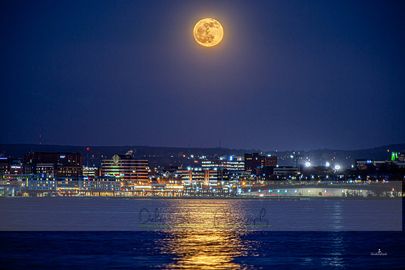 20230505-IMG_0303-Edit