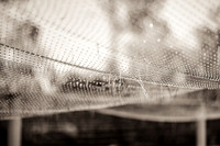 20151101-IMG_0103-2