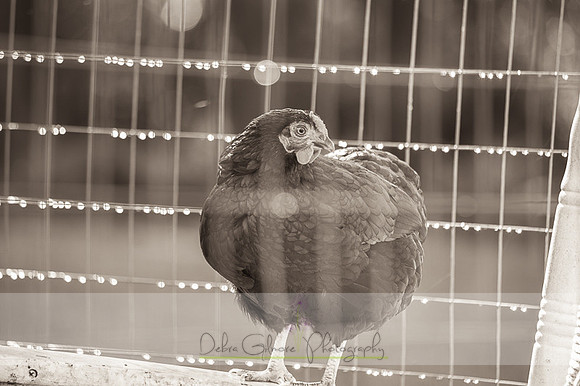 20151101-IMG_0145-2