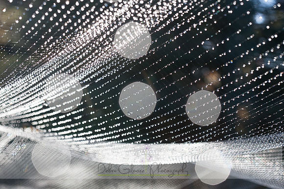 20151101-IMG_0127
