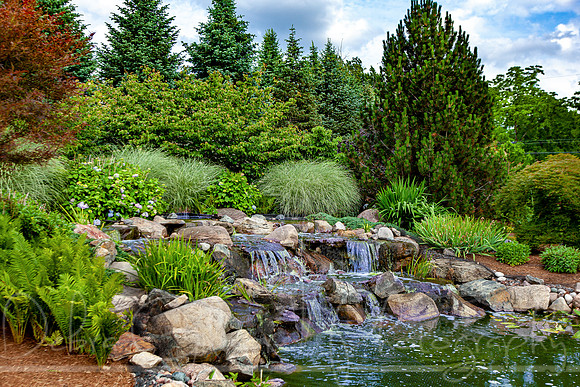 20210626-IMG_3443-Edit