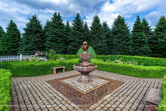 20210626-IMG_3453