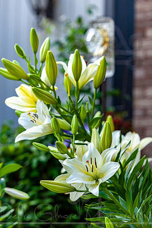 20210626-IMG_3576