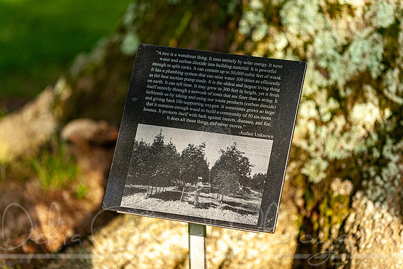 20210626-IMG_3581