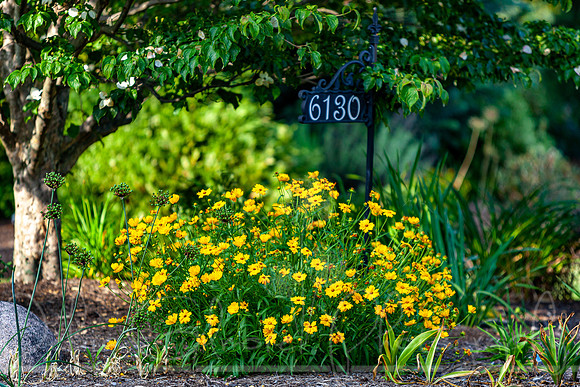 20210626-IMG_3582