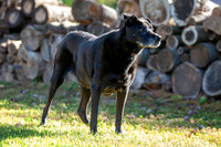 20231017-IMG_6506