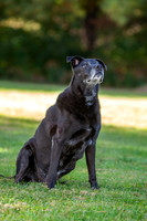 20231017-IMG_6515