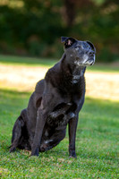 20231017-IMG_6516