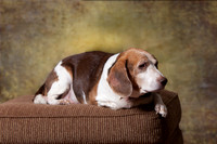 IMG_0808-Edit-Edit