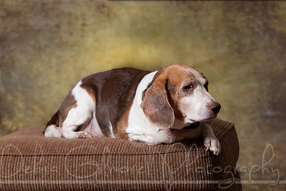 IMG_0808-Edit-Edit