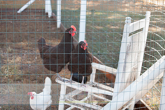 20151101-IMG_0137