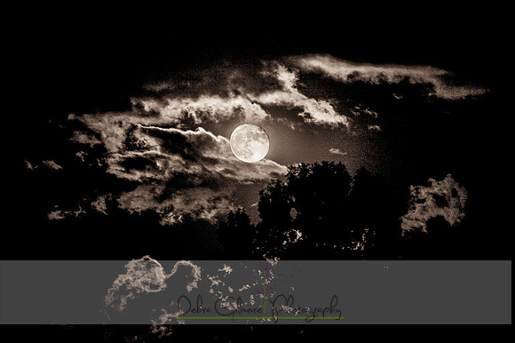 20151028-IMG_9774-Edit