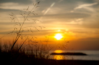 HR-20140825-IMG_6318