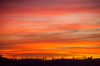 HR-20151004-IMG_8274-2