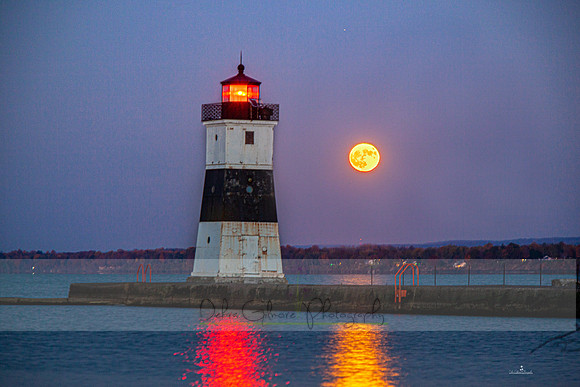20201031-IMG_8969-Edit-3