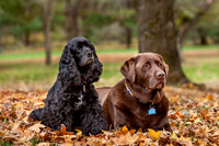 20151030-IMG_0001-Edit