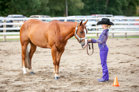 Wed. Halter & Hitch Classes
