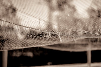 20151101-IMG_0102-2