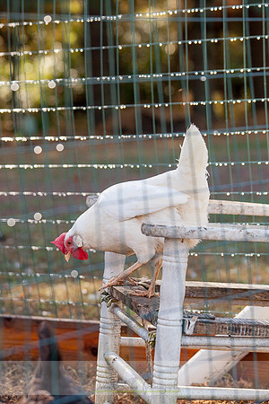 20151101-IMG_0148