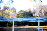 20151101-IMG_0099