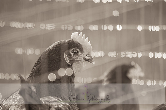 20151101-IMG_0140-2