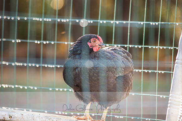 20151101-IMG_0145