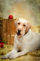 20131102-IMG_0251-Edit