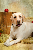 20131102-IMG_0249-Edit