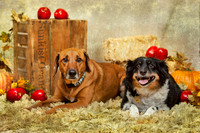 20131102-IMG_0262-Edit