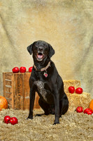 20131102-IMG_0246-Edit