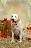 20131102-IMG_0243-Edit