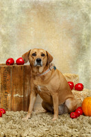 20131102-IMG_0242-Edit