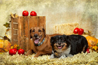 20131102-IMG_0256-Edit